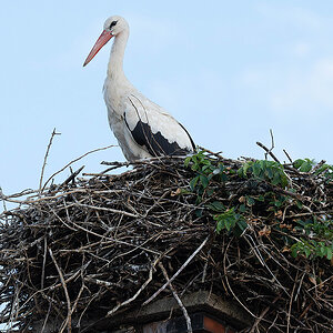 DSC_0356k.jpg