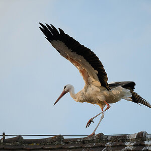 DSC_0458k.jpg
