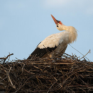 DSC_0471k.jpg
