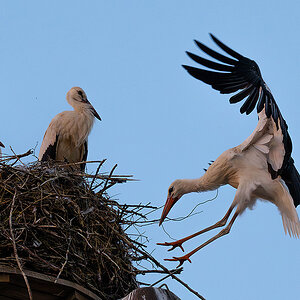 DSC_0873k.jpg