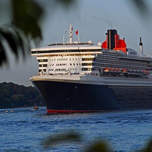 qm2.jpg