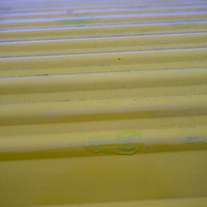 H13X5561-1.jpg