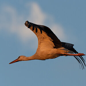 DSC_2941k.jpg