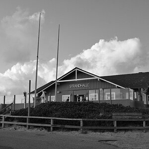 DSC_1451.JPG