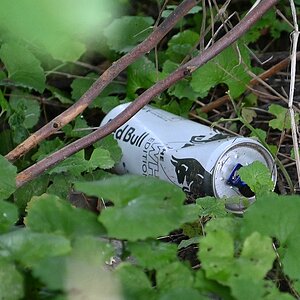 Müll entlang der Sulm 4.JPG