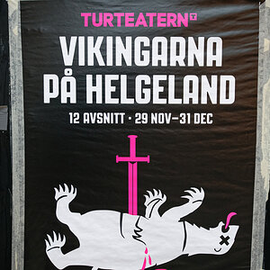 Wikinger im Heiligen Land.jpg