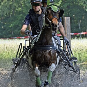 1_lohberg_fahrturnier.jpg