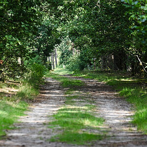 DSC_8979.jpg