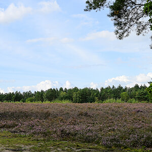 DSC_9013.jpg
