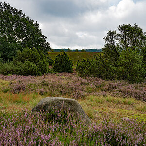 ZHG_0427.jpg