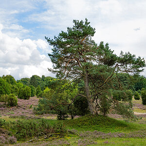 ZHG_0437.jpg