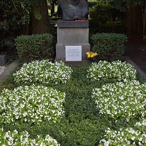 DSC_9789_klein.jpg