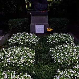 DSC_9783_klein.jpg