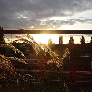 Sunset.jpg
