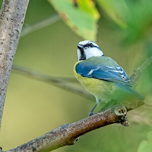 NIKON Z 8_2023_09_09_10_17_GZ8_0005.jpg