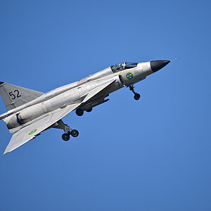 Z95_6494.jpg