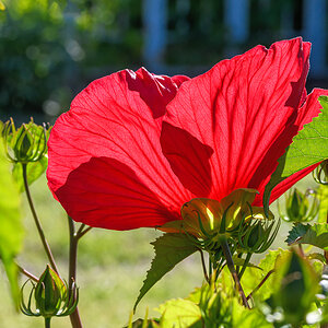 OF5_41470.jpg