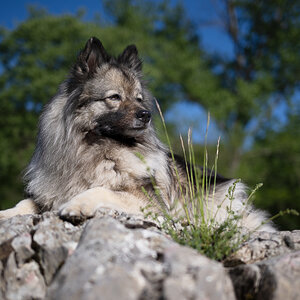 20220501-_CH91490-Bearbeitet.jpg