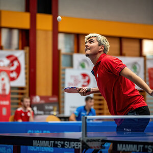 _Z622228 (1)-DeNoiseAI-clear.jpg