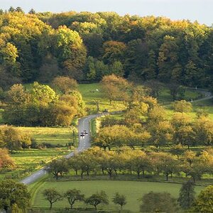 b web Herbst 019