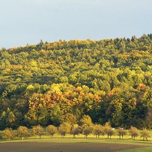 b web Herbst 017