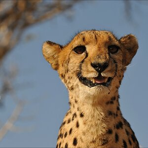 comp Namibia 09 08197