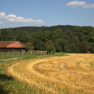 schaeftlarn schuppen malerisch