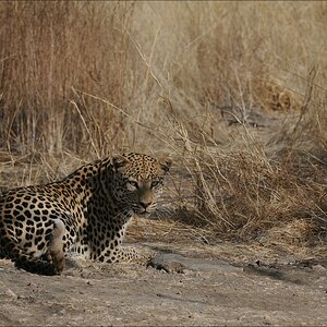 comp Namibia 09 10033