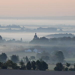 morgennebel3