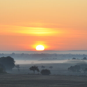 morgennebel2