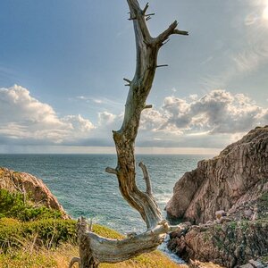 Kullaberg