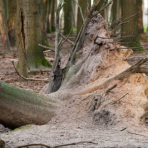 3HH6195