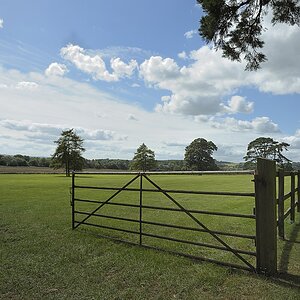 DSC6101 nff