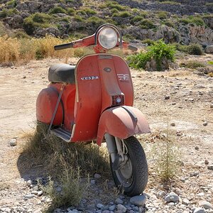 Vespa (Large)