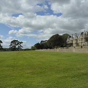 DSC6104 nff