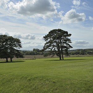 DSC6084 nff