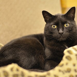 DSC6464 nff
