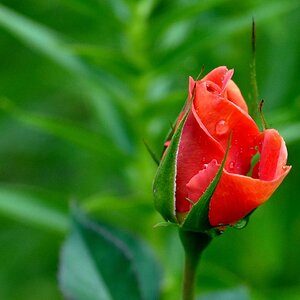 was der Garten hergibt