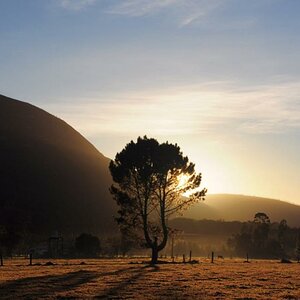 Landschaft1