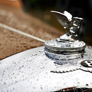 Bentley