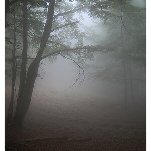 Nebel