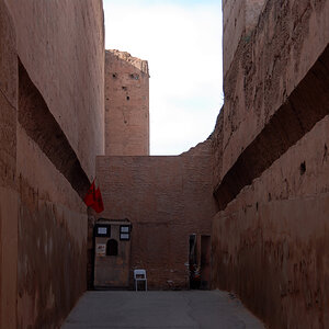 DSC_4956.jpg
