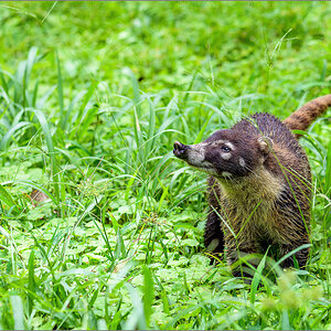 DZ7_6297-Bearbeitet.jpg