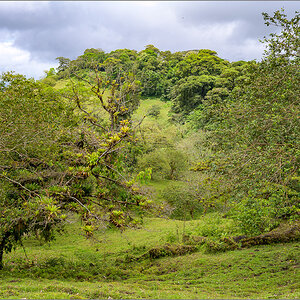 DZ7_6190.jpg
