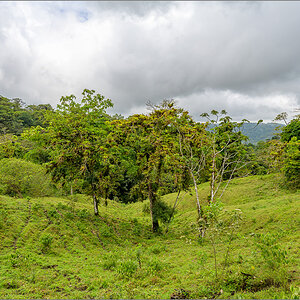 DZ7_6186.jpg