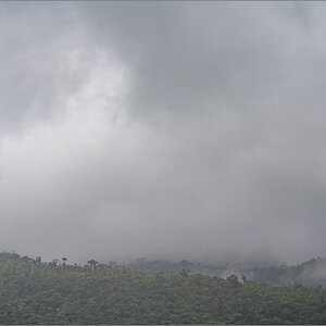 DZ7_6579.jpg
