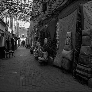 P3030113.jpg