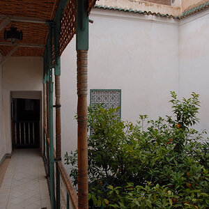 DSC_5195.jpg