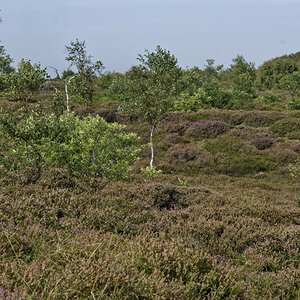 _Z506461_DxOPxl.jpg
