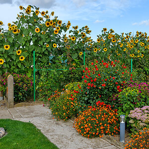 OF5_41524.jpg